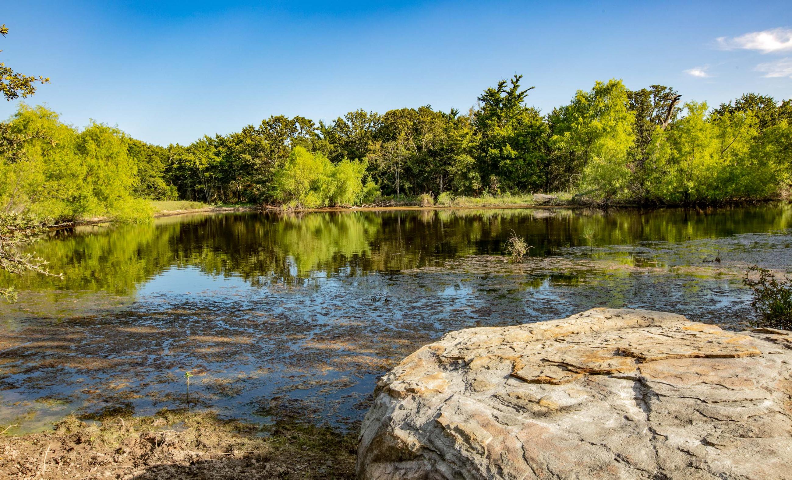 Coastal Mesa Ranch Chas S. Middleton